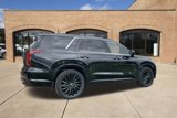 New 2025 Hyundai Palisade Calligraphy image 3