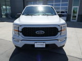 Certified 2022 Ford F150 XL w/ STX Appearance Package image 3