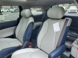 New 2025 Kia Carnival SX Prestige image 5