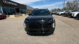 New 2025 Hyundai Palisade Calligraphy image 3