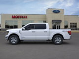 New 2025 Ford F150 XLT image 3