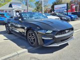 Used 2021 Ford Mustang Premium image 3