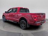 Certified 2022 Ford F150 XLT w/ Equipment Group 301A Mid image 3