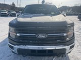 New 2025 Ford F150 XLT w/ Equipment Group 302A MID image 3