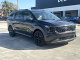 New 2025 Kia Carnival SX Prestige image 4