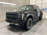 Used 2025 Ford F150 Raptor image 3
