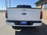 New 2025 Ford F150 XLT w/ Equipment Group 302A MID image 6