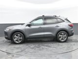 New 2025 Ford Escape ST-Line w/ Cold Weather Package image 5