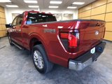 New 2025 Ford F150 XLT image 5