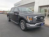 Certified 2022 Ford F150 XLT w/ Equipment Group 302A High image 2