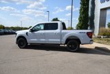 New 2025 Ford F150 XLT image 3