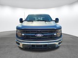 New 2025 Ford F150 XLT image 2