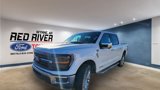 New 2025 Ford F150 XLT w/ Equipment Group 303A High image 4