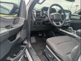 Certified 2022 Ford F150 XLT w/ Equipment Group 302A High image 5