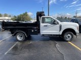 New 2025 Ford F350 XL w/ XL Chrome Package image 3