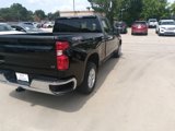 Used 2024 Chevrolet Silverado 1500 LT w/ Protection Package image 6
