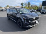 New 2025 Kia Carnival SX image 2