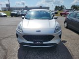 Used 2020 Ford Escape SE image 2