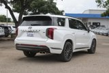 New 2025 Hyundai Palisade Calligraphy image 6