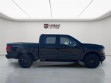 New 2025 Ford F150 XLT w/ Equipment Group 303A High image 2