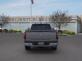 New 2025 Ford F150 XLT w/ Equipment Group 302A MID image 5