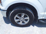 Used 2019 Ford F150 XLT w/ Equipment Group 302A Luxury image 4