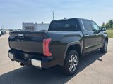 New 2025 Toyota Tundra 1794 Edition image 4
