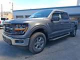 New 2025 Ford F150 XLT image 2
