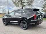 New 2025 Hyundai Palisade Calligraphy image 5