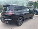 New 2025 INFINITI QX80 Autograph image 3