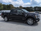 New 2025 Ford F150 Platinum image 2