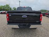 Used 2023 Ford F150 XLT image 6