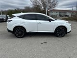 New 2025 Nissan Murano Platinum w/ Cargo Package image 3