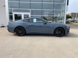 Used 2024 Ford Mustang GT Premium image 4