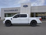 New 2025 Ford F150 XLT image 3