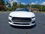 Certified 2025 Ford Mustang Coupe w/ Mustang Nite Pony Package image 3
