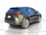 New 2025 Lexus NX 300h AWD w/ Luxury Package image 4