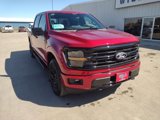 New 2025 Ford F150 XLT image 4