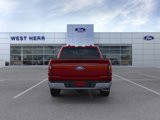 New 2025 Ford F150 XLT w/ Equipment Group 302A MID image 5