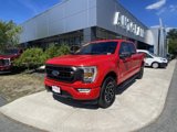 Certified 2022 Ford F150 XLT w/ Equipment Group 302A High image 4