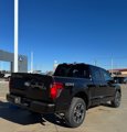 New 2025 Ford F150 STX w/ Equipment Group 200A image 4