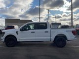 New 2025 Ford F150 STX image 5