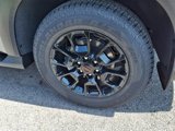 New 2025 Nissan Armada PRO-4X image 4