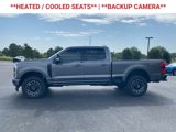 New 2025 Ford F250 Platinum image 5