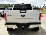 Used 2017 Ford F150 XLT w/ Equipment Group 302A Luxury image 4
