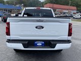 New 2024 Ford F150 XLT w/ Equipment Group 302A MID image 3