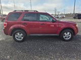 Used 2009 Ford Escape XLT image 4