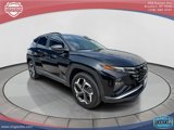 Used 2022 Hyundai Tucson SEL w/ Convenience + Premium Package image 2
