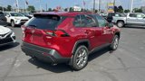 Certified 2022 Toyota RAV4 XLE Premium image 3