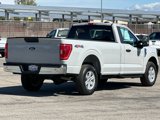 Certified 2023 Ford F150 XLT w/ Equipment Group 301A Mid image 4